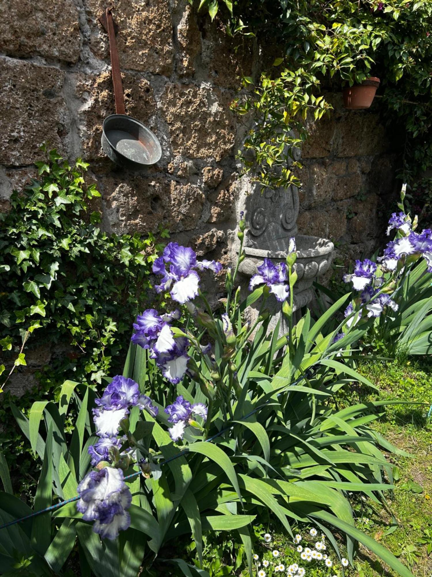 B&B Etruscan Garden Sutri Exteriör bild